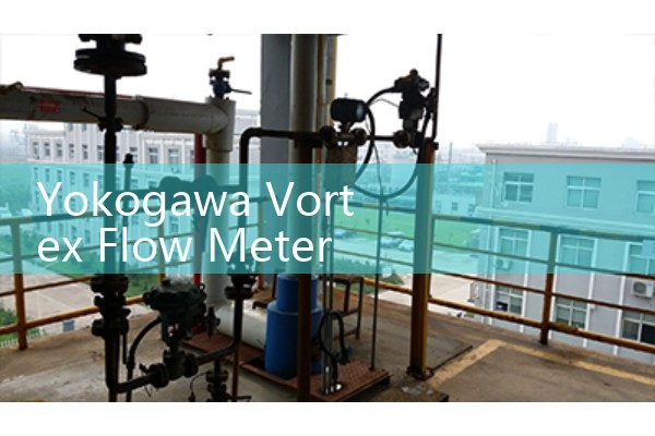 Flow meter output signal